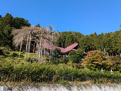 慈徳寺